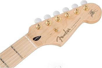 Amazon.com: Fender Richie Kotzen Stratocaster Electric Guitar